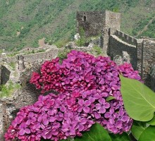 VIKEND U VRNJAČKOJ BANJI - KRALJICI BANJSKOG TURIZMA Mala 8